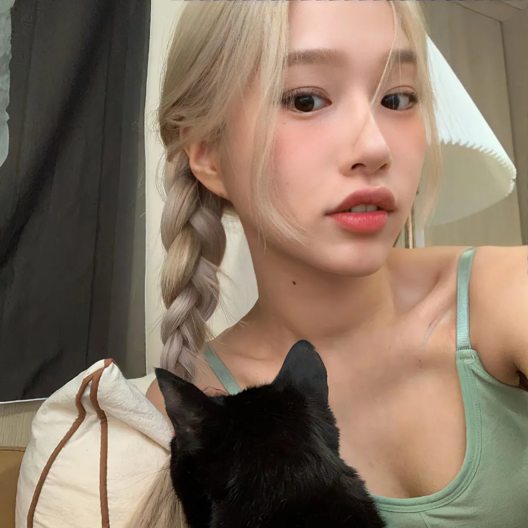 从此风雨不同舟